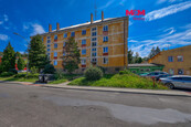 Pronájem bytu 1+1, 39 m2, Bukovany, cena 12500 CZK / objekt / měsíc, nabízí 