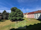 Světlý byt 2+1 po rekonstrukci | Zahrada, 2 sklepy, meandr i centrum pár minut od domu, cena 15000 CZK / objekt / měsíc, nabízí 